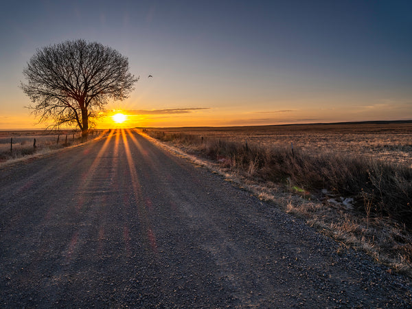 A Bright Future – Jake Mosher Photography