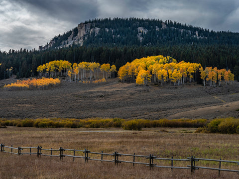 Evening of the Equinox