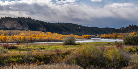Fall on the Middle Yellowstone