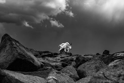 Getting Ahead of the Storm