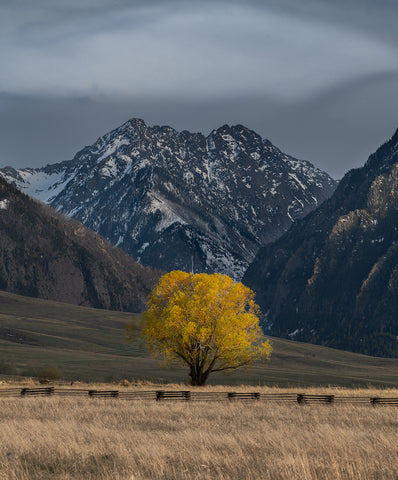 Her Hardest Hue to Hold