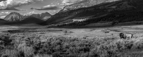 Keeper of the Valley