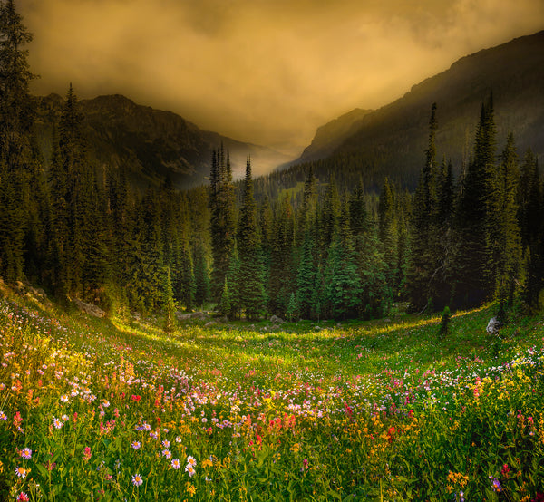 イスファハーン モスク 写真集 ISPAHAN Image du Paradis The Hidden Landscape | Erwin Buske Photography Blog