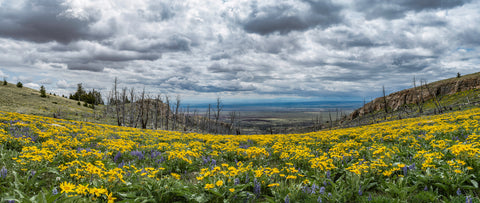 Looking Off the Edge of the World