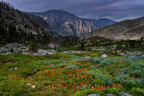 Last Light on the Mountain