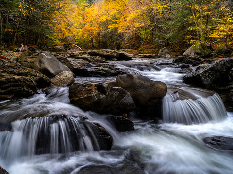 Upstream Into Autumn