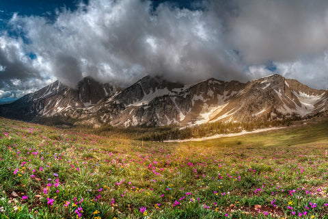 Hardscrabble Peak at First Light 24x36