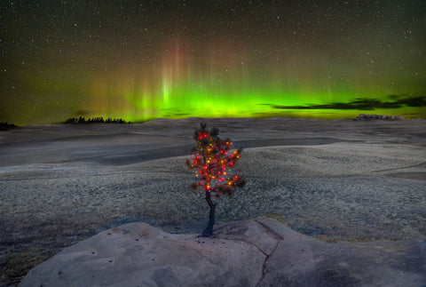 A Christmas Tree