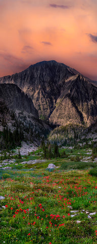 Late Day Light in the Crazies