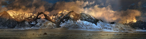 Madison Majesty - Custom Edition