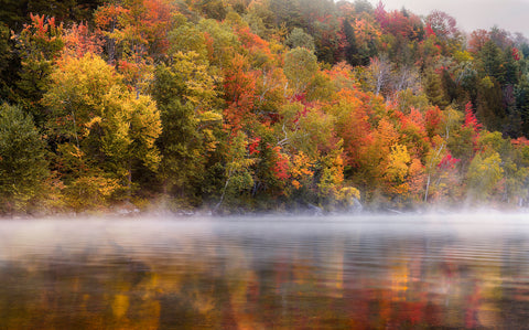 Misty Morning