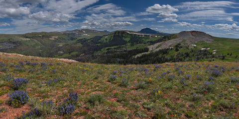 Afternoon in the Gravelly Mountains