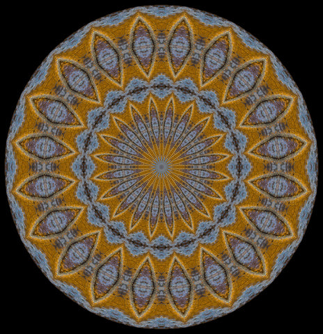 American Painted Lady