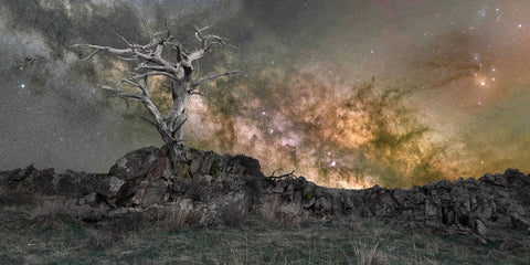 The Afterlife