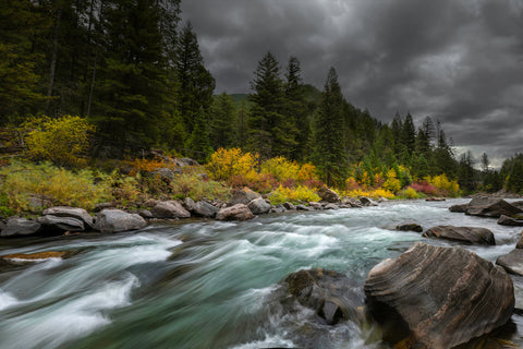 Rainy Morning on the Gallatin River