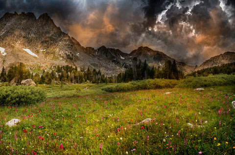 Calm Before the Storm