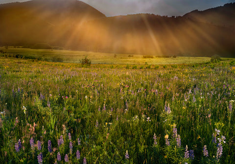 Dawn Of The Longest Day