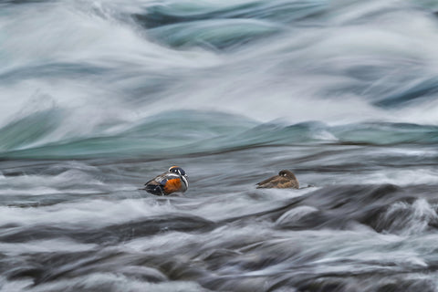 River Of Dreams