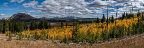 Autumn Sun in Yellowstone National Park