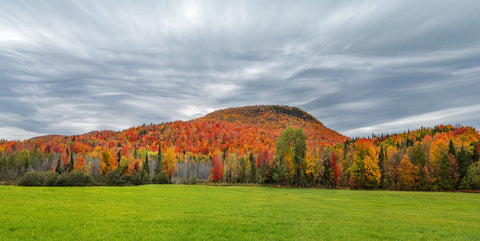 Barton Mountain