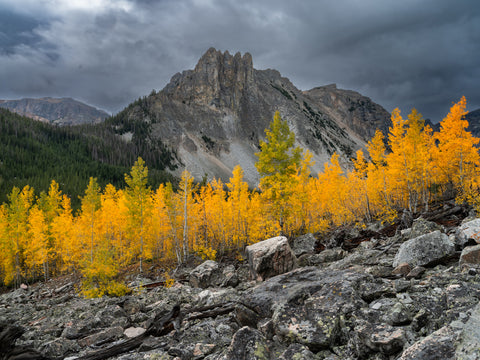 Fall Light in the Beartooth