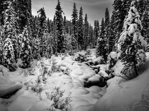 Below Ouzel Falls