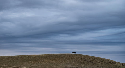Montana Minimalism