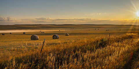 The Road to Fall in Eastern Montana