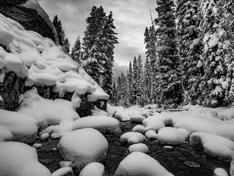 Winter On the South Fork of the Gallatin River