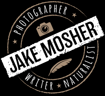 Jake Mosher Photography